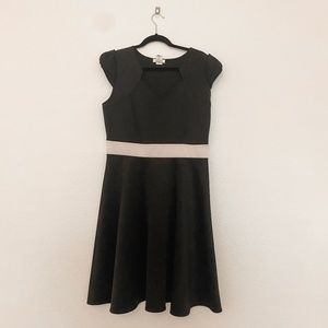 Pin-Up Couture Style Fit and Flare Dress